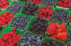 fruit
