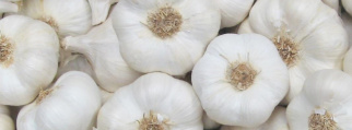 knoflook