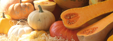courges_voltz_maraichage