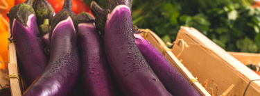 aubergine