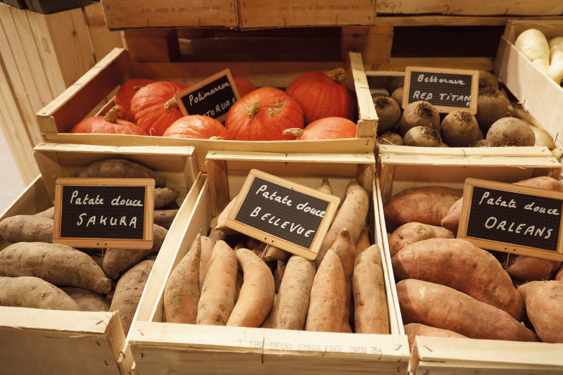 sival_stand_voltz_maraichage